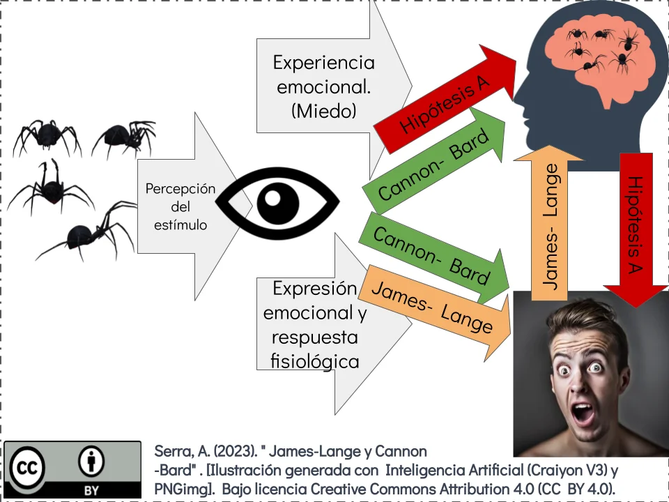 Diferencia entre la teoría de James Lange y la de Cannon Bard