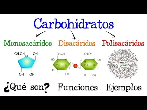 Diferencia entre oligosacáridos y polisacáridos
