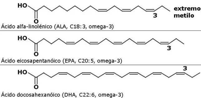 Diferencia entre Omega 3 6 y 9