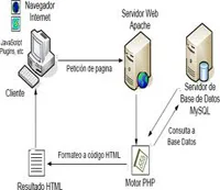 Diferencia entre servidor y base de datos