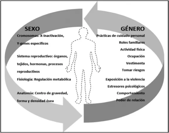 Diferencia entre sexo y género