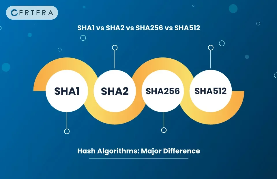 Diferencia entre SHA1 y SHA256