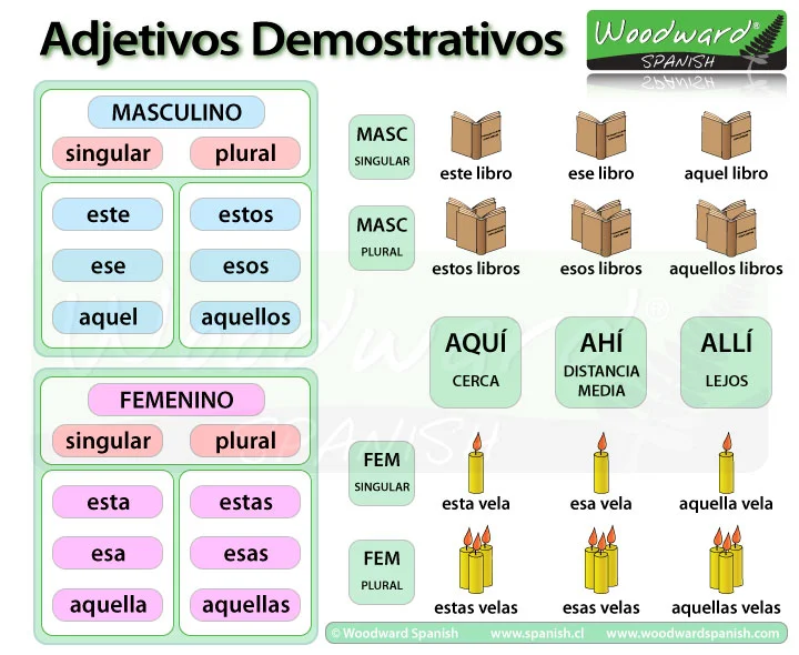 ¿Qué son los adjetivos demostrativos?