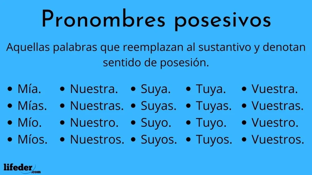 ¿Qué son los pronombres posesivos?