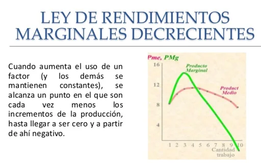 ¿Qué son los rendimientos marginales decrecientes y por qué se producen?