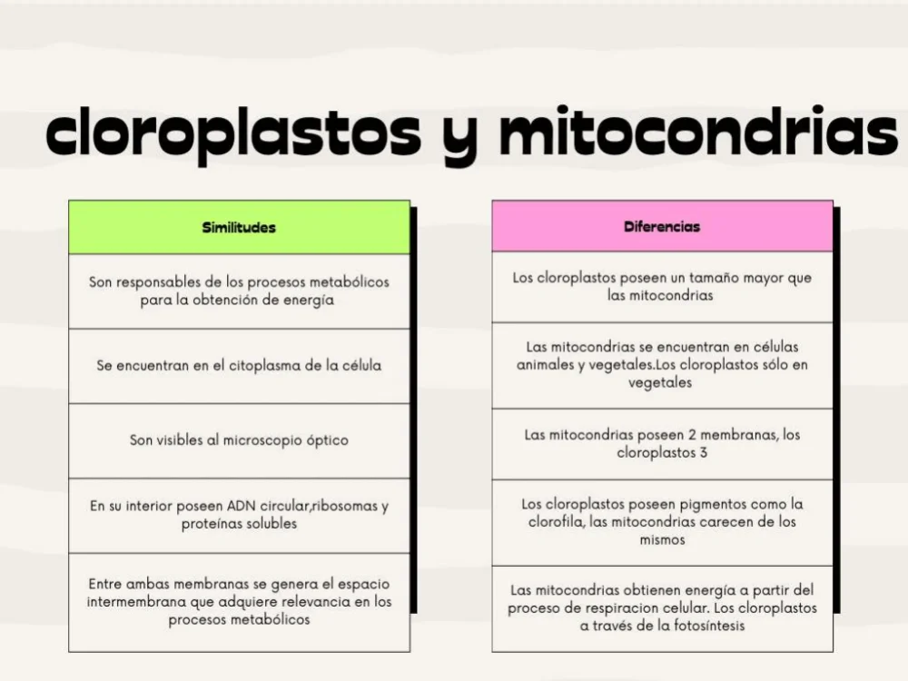 Diferencia entre cloroplastos y mitocondrias
