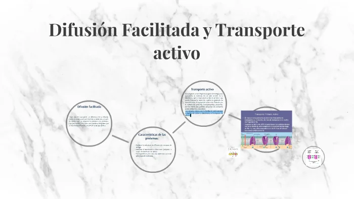 Diferencia entre difusión facilitada y transporte activo