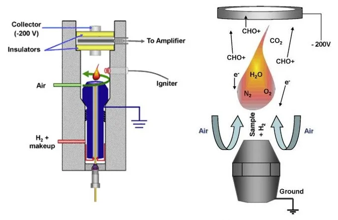 Diferencia entre el detector FID y el TCD