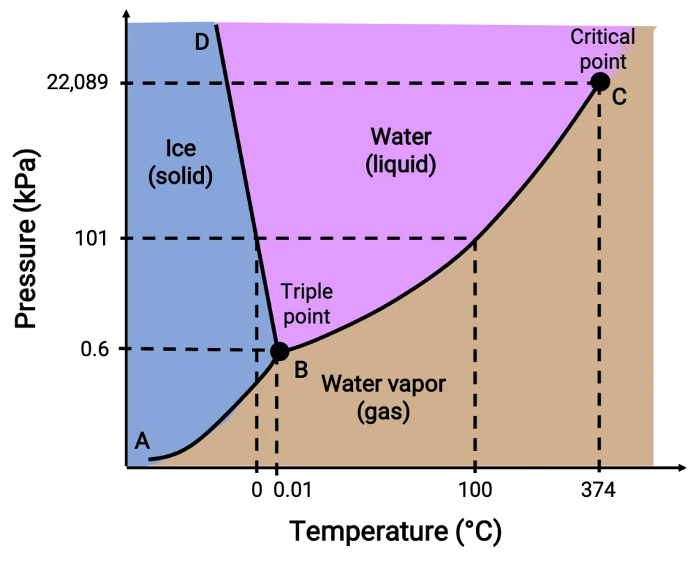 Diferencia entre el diagrama de fases del agua y el dióxido de carbono
