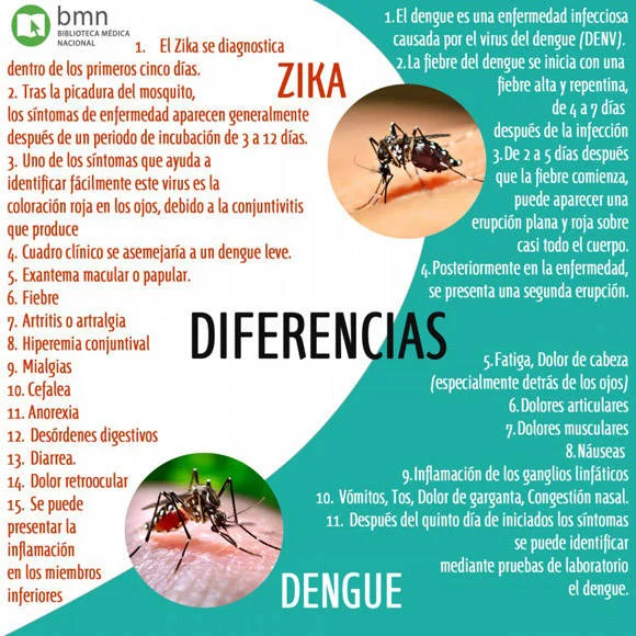 Diferencia entre el ébola y el zika