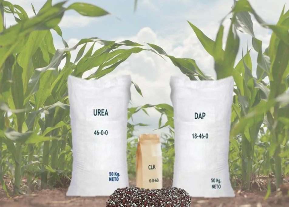 Diferencia entre fertilizantes DAP y NPK