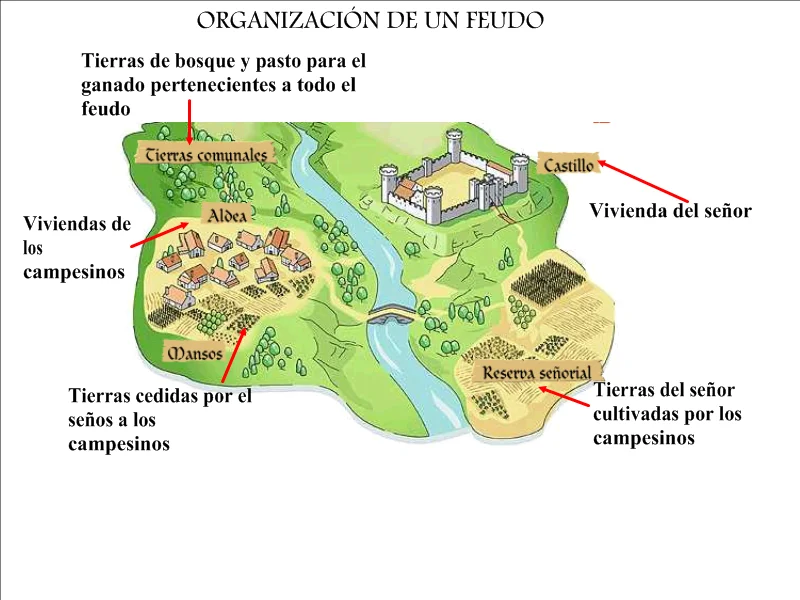 Diferencia entre feudalismo y señorío