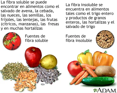 Diferencia entre fibra dietética y fibra soluble