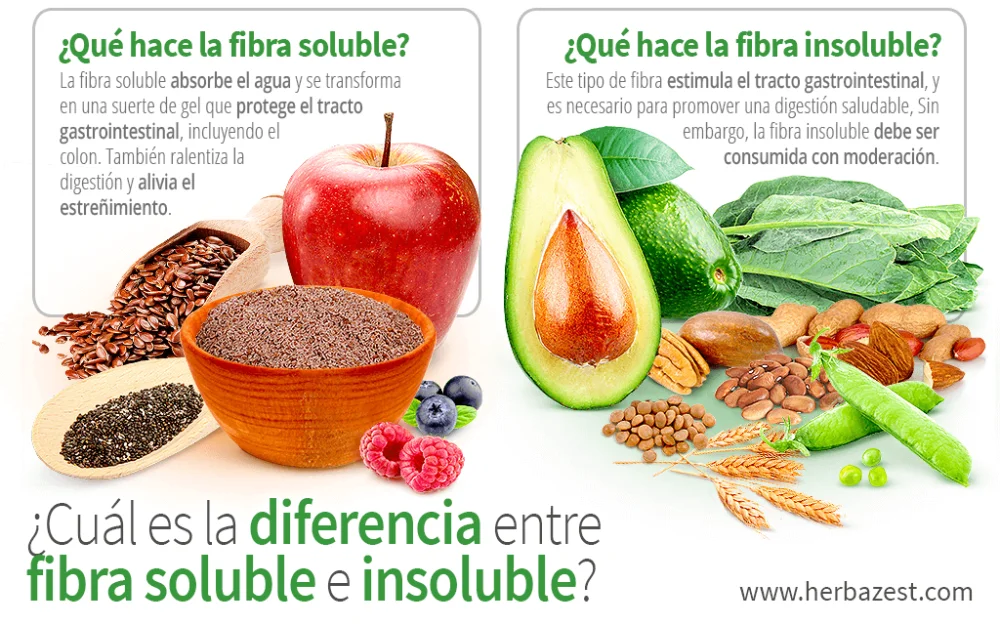Diferencia entre fibra soluble e insoluble