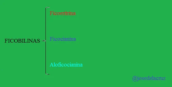 Diferencia entre ficocianina y ficoeritrina