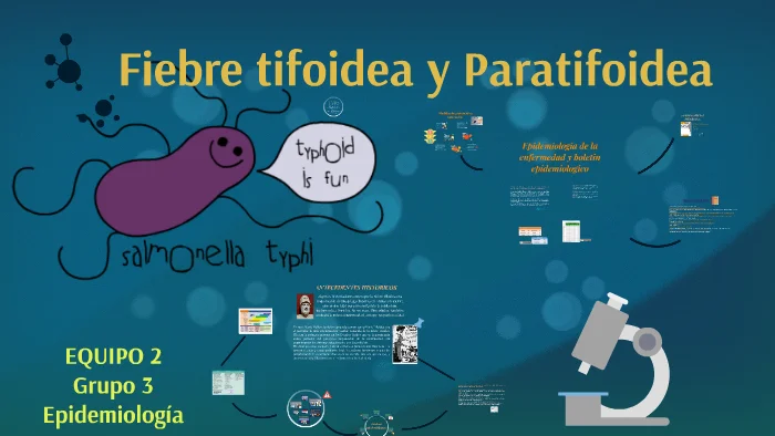 Diferencia entre fiebre tifoidea y paratifoidea