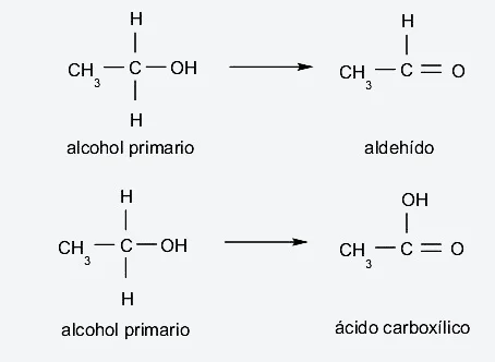 Diferencia entre hidroxilo y alcohol