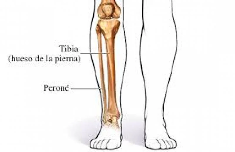 Diferencia entre la tibia y el peroné