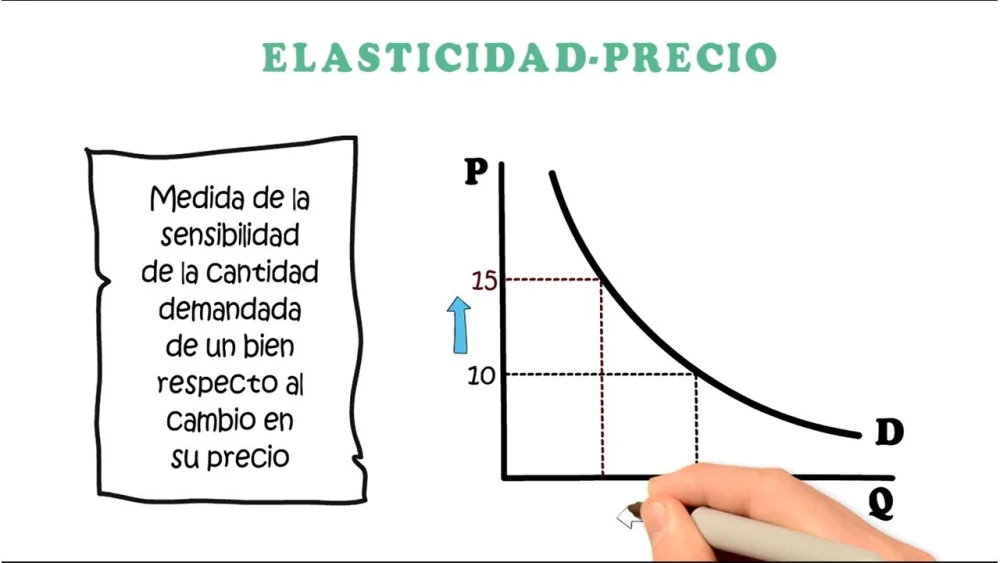 Distinguir entre elasticidad precio y elasticidad ingreso de la demanda
