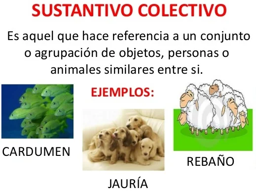 ¿Qué son los sustantivos colectivos?