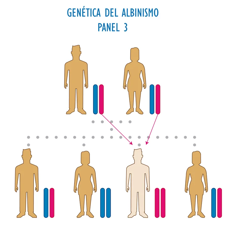 ¿Qué tipo de mutación es el albinismo?