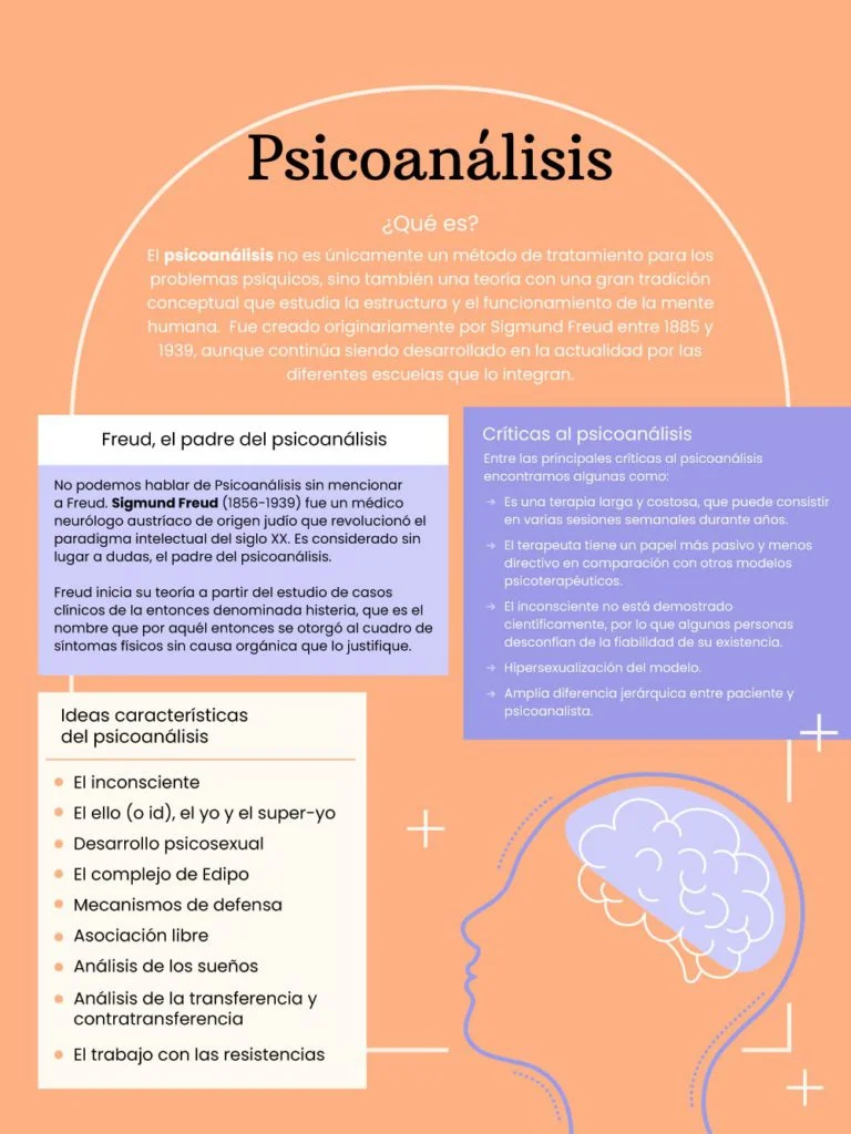¿Qué tipo de teoría es la crítica psicoanalítica y por qué?