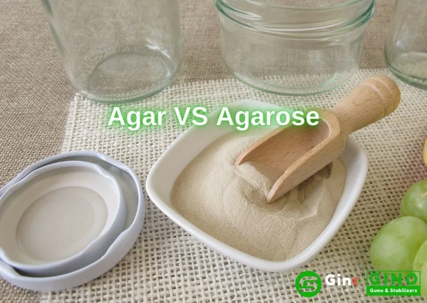 Diferencia entre agar y agarosa