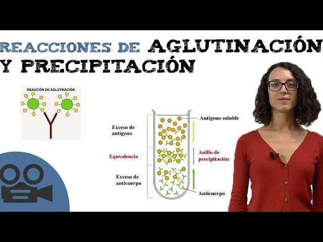 Diferencia entre aglutinación y precipitación