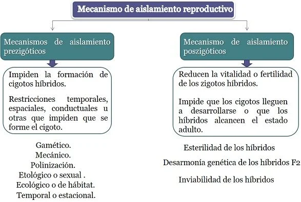 Diferencia entre aislamiento geográfico y reproductivo