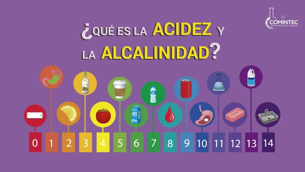 Diferencia entre álcali y alcalino