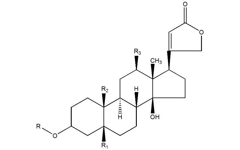 Diferencia entre alcaloide y glucósido