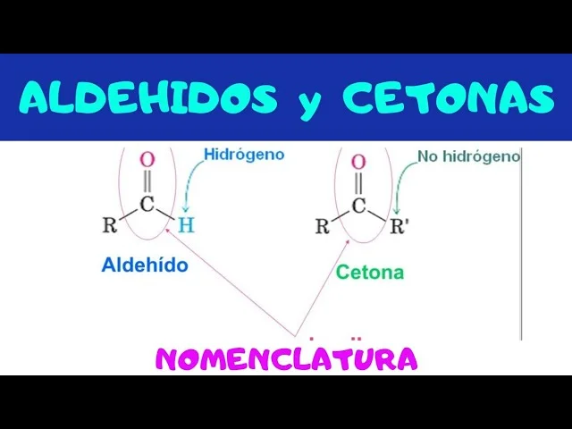 Diferencia entre aldehído y cetona Ciencia