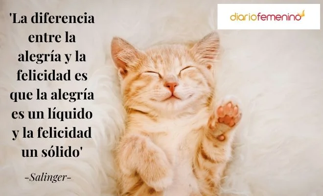 Diferencia entre alegría y felicidad General