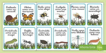 Diferencia entre bichos e insectos