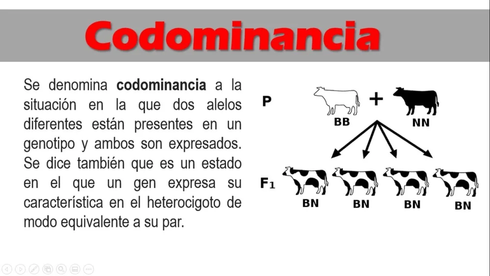 Diferencia entre codominancia y dominancia incompleta