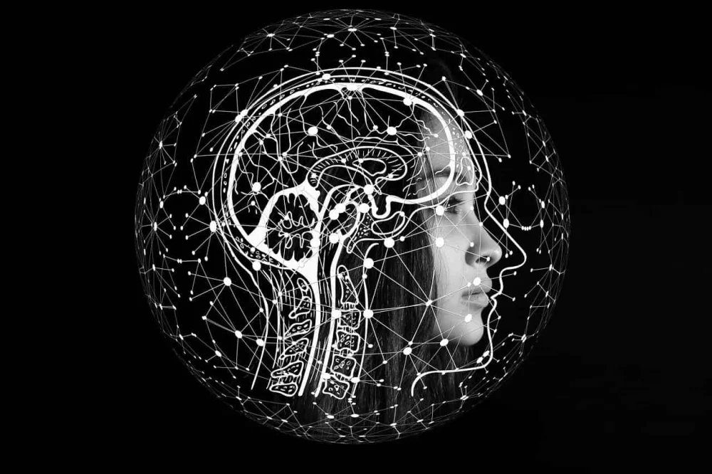 Diferencia entre cognición e inteligencia