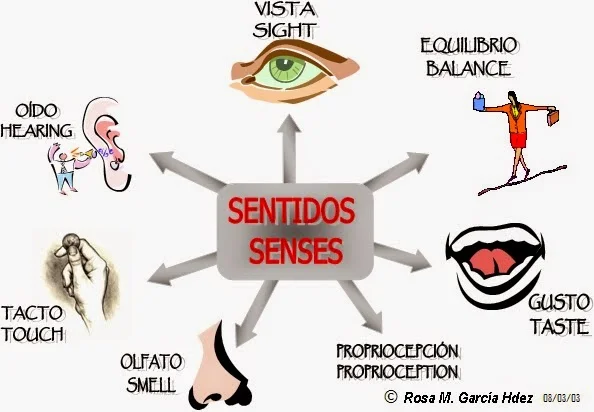 Diferencia entre cognición y percepción