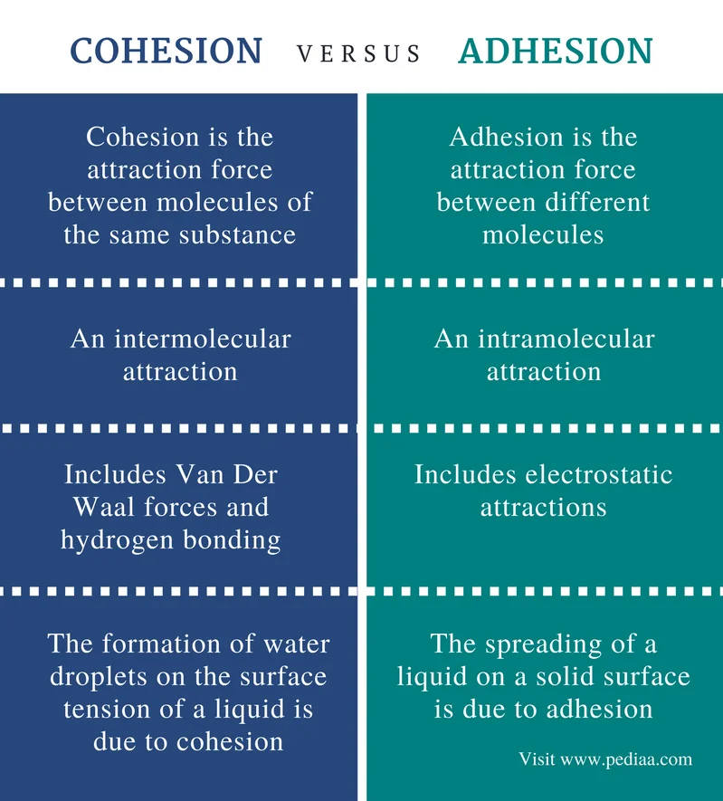 Diferencia entre cohesión y adhesión
