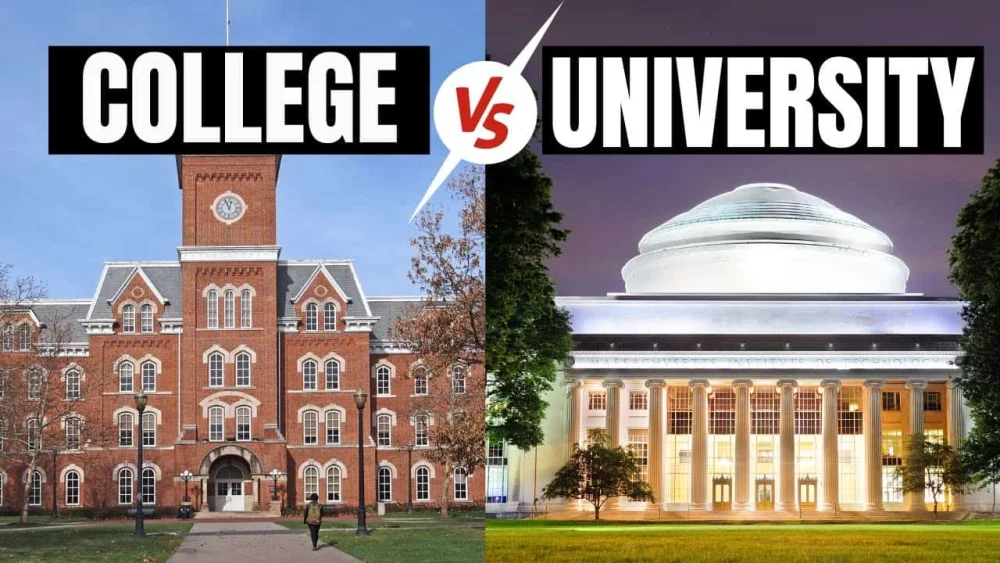 Diferencia entre colegio y universidad