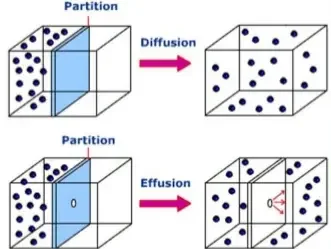 Diferencia entre difusión y efusión
