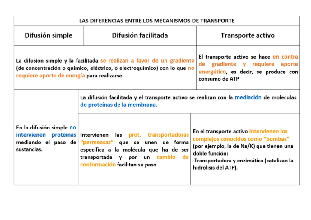 Diferencia entre difusión y transporte activo