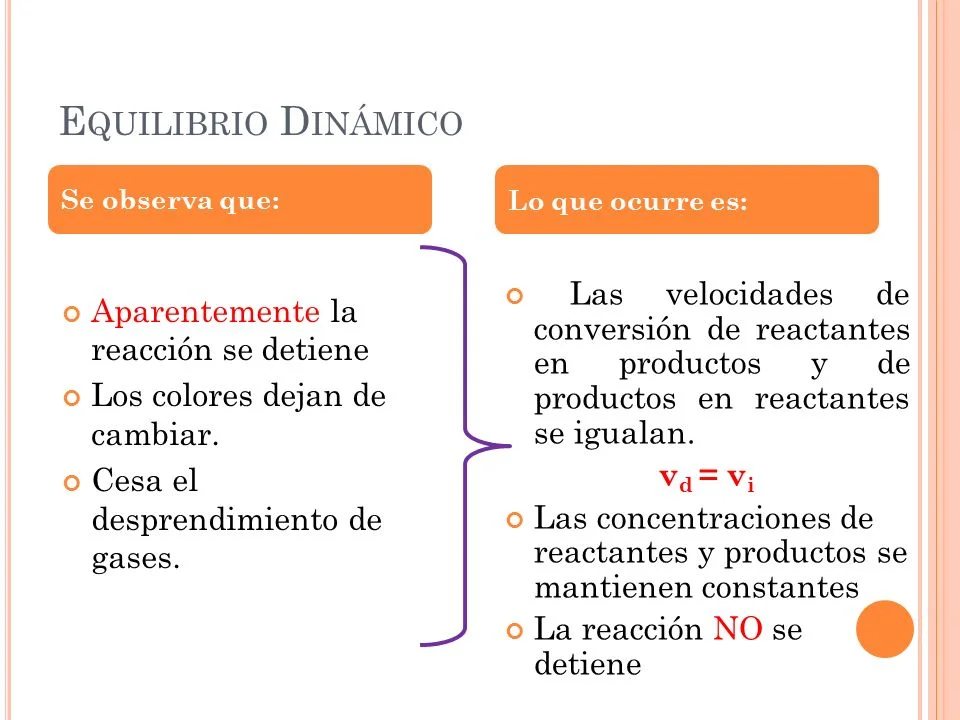 Diferencia entre el equilibrio químico y el equilibrio dinámico