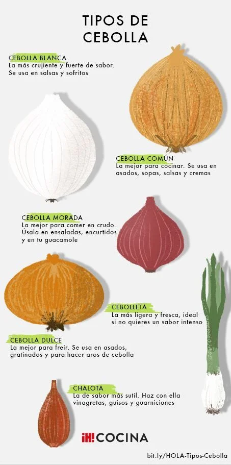 Diferencia entre la cebolla amarilla y la blanca