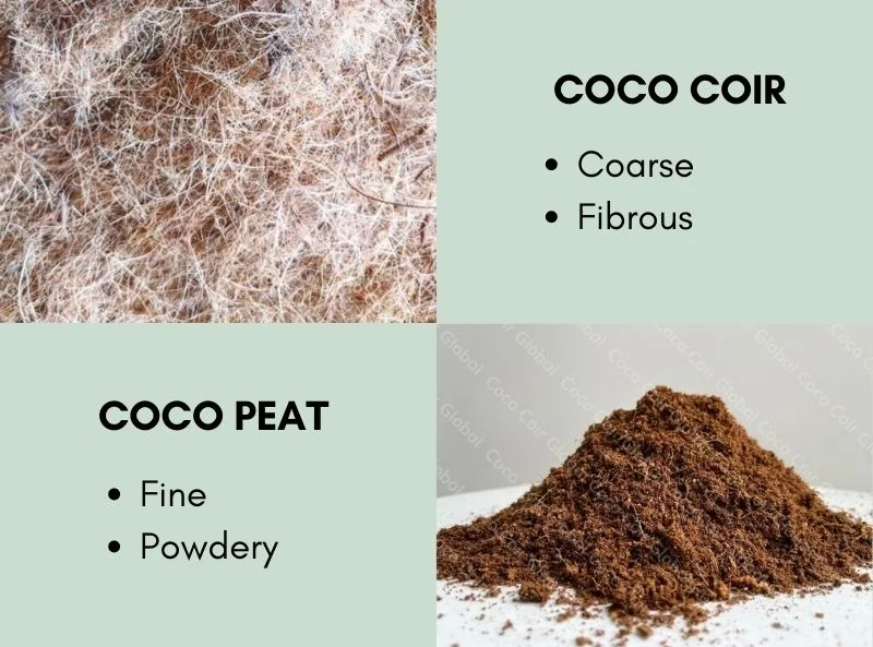 Diferencia entre la turba de coco y la cáscara de coco