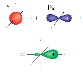 Diferencia entre orbitales puros e híbridos