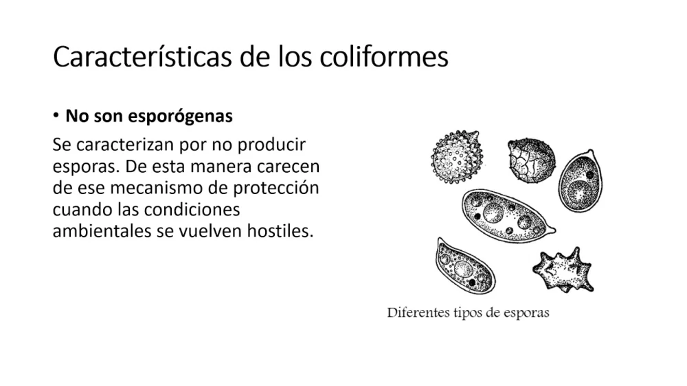 Diferencia entre coliformes fecales y no fecales