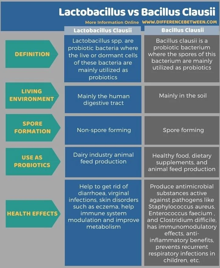 Diferencia entre Lactobacillus y Bacillus Clausii
