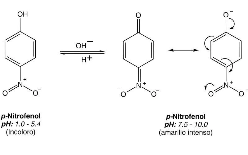 Diferencia entre orto nitrofenol y para nitrofenol