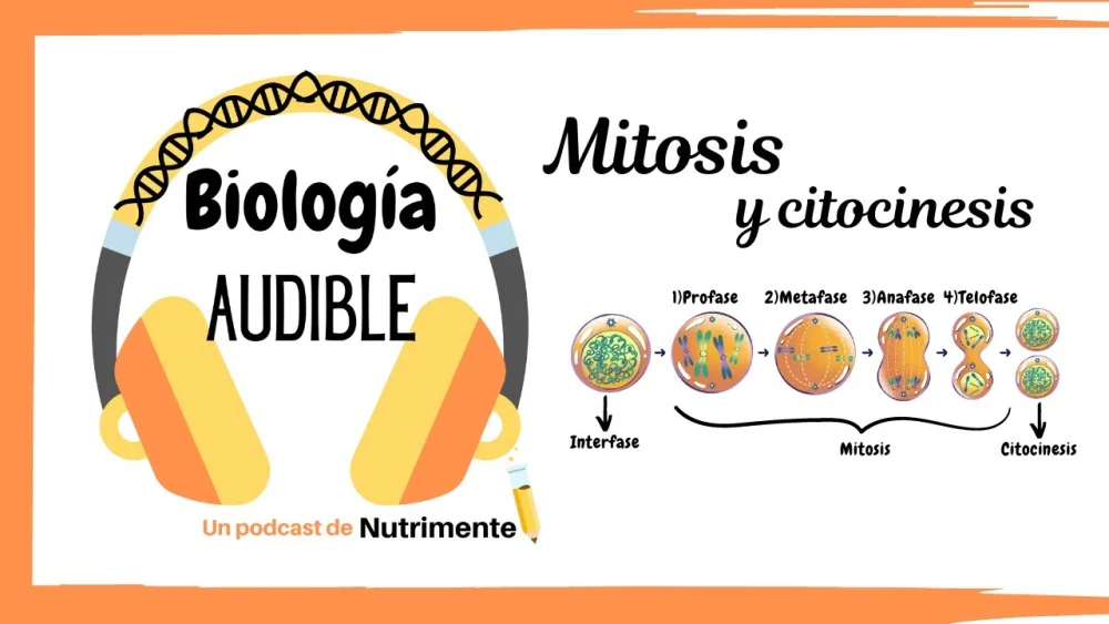 Diferencia entre ortocinesis y klinocinesis