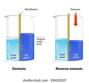 Diferencia entre ósmosis y ósmosis inversa